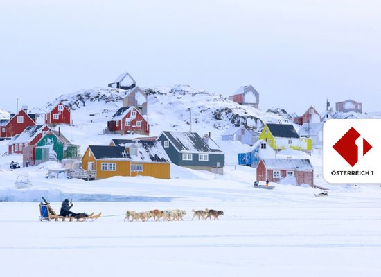 Rudi Radiohund: Essen in den Polargebieten