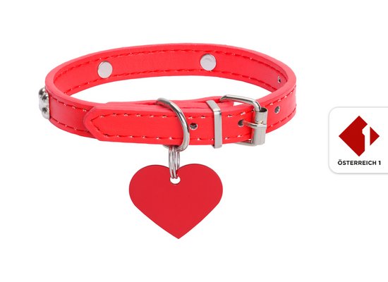 Rudi Radiohund: Ein neues Halsband