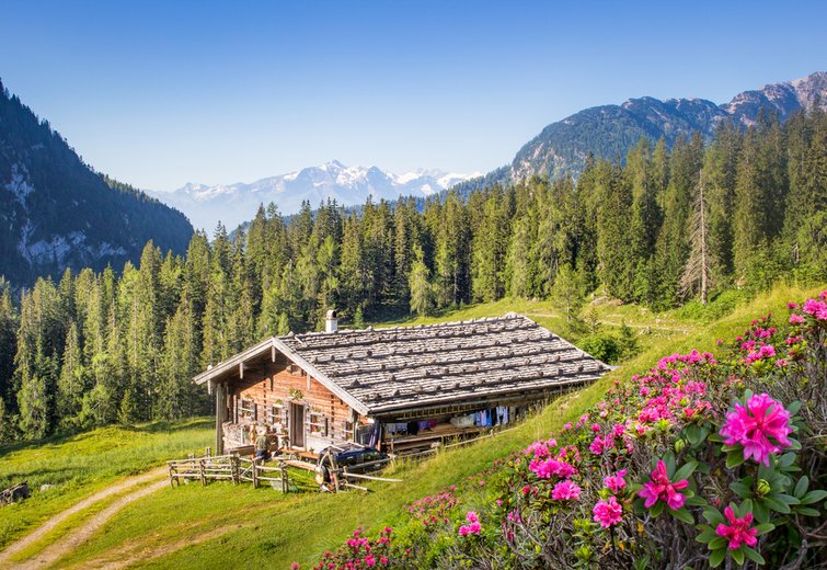 Video: Springtime on the mountain