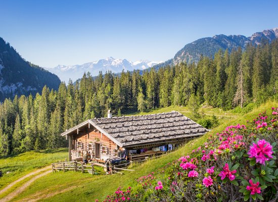 Video: Springtime on the mountain