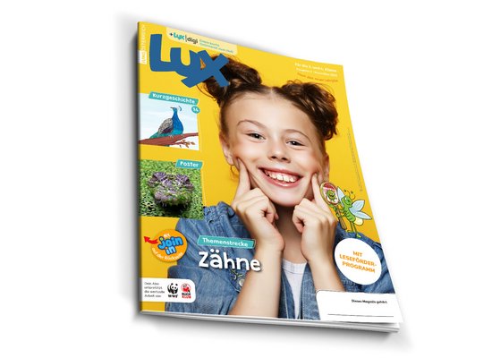 LUX November digital lesen
