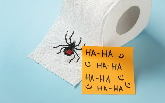 Eine Spinne aufs Klopapier malen - lustig oder gemein? Was denkst du?