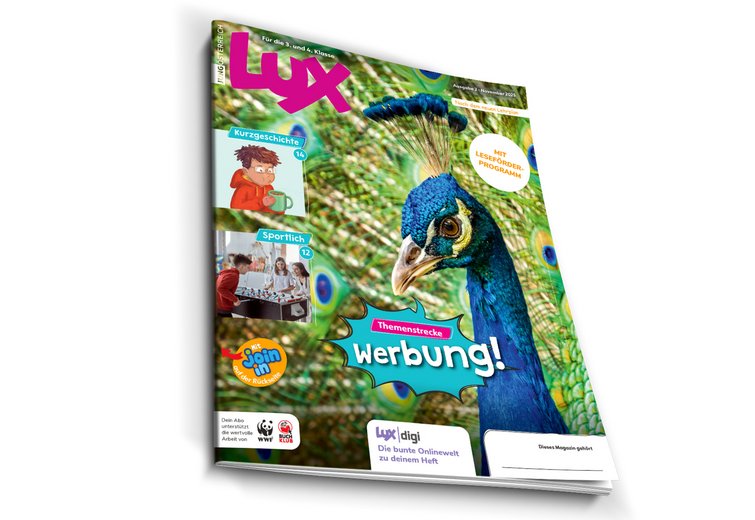 LUX November digital lesen
