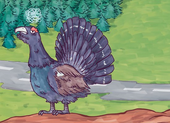 Gedicht: Der Auerhahn