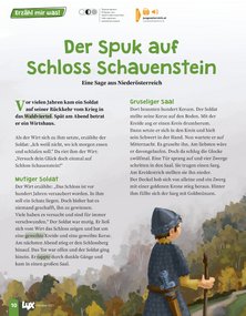 Magazin Artikel