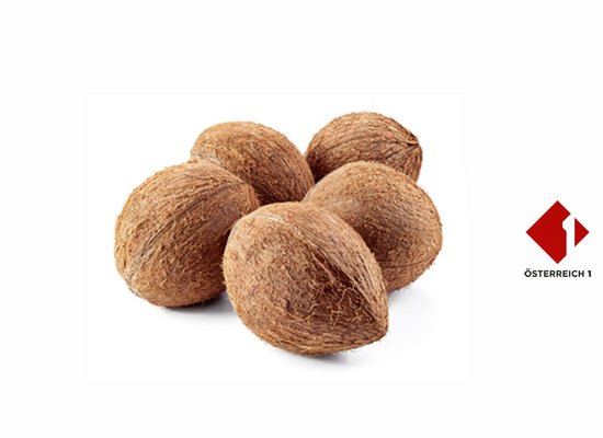 Ö1 Kinderuni: Von der Entstehung des Handels