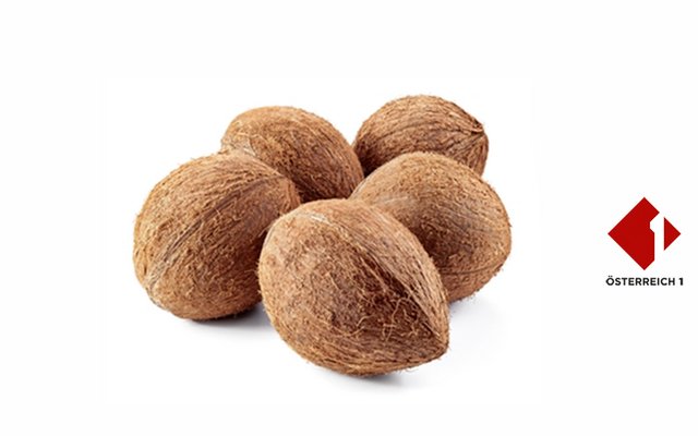 Würdest du fünf Kokosnüsse gegen eine Xbox tauschen? 