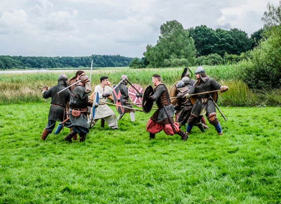 Videotipp: Der Wikinger-Check