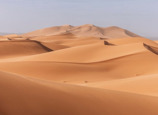 Das Wüsten-Quiz