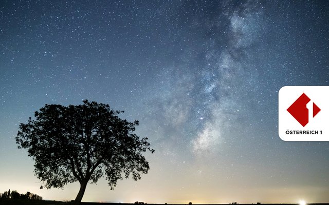 Ob es dort oben wohl Leben gibt?