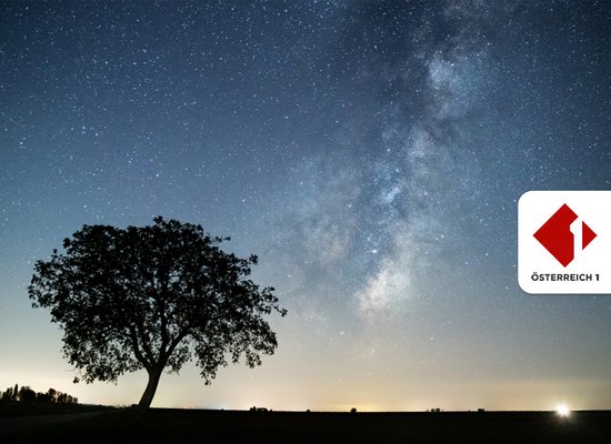 Rudi Radiohund: Leben im All