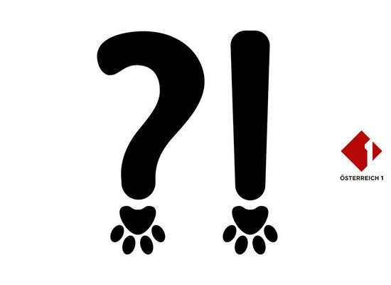 Rudi Radiohund: Vergessen und verlieren